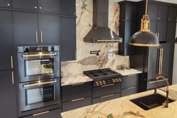 DL-Cabinetry-Slim-Shaker-Ebony-Cabinets